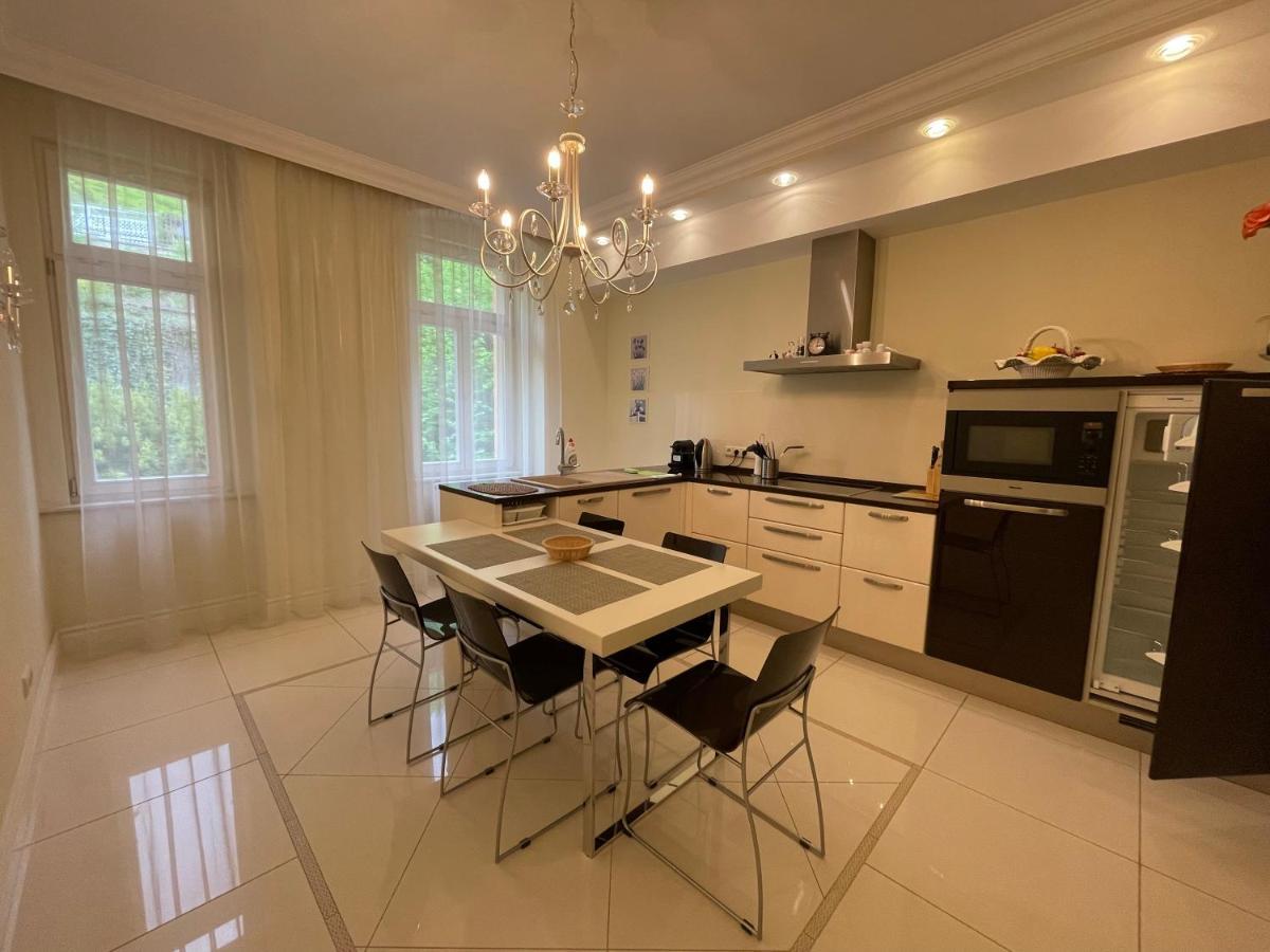 Apartma Premium Karlsbad Buitenkant foto